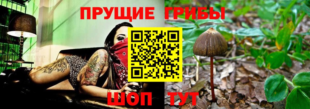 Галлюциногенные грибы прущие грибы Бирск